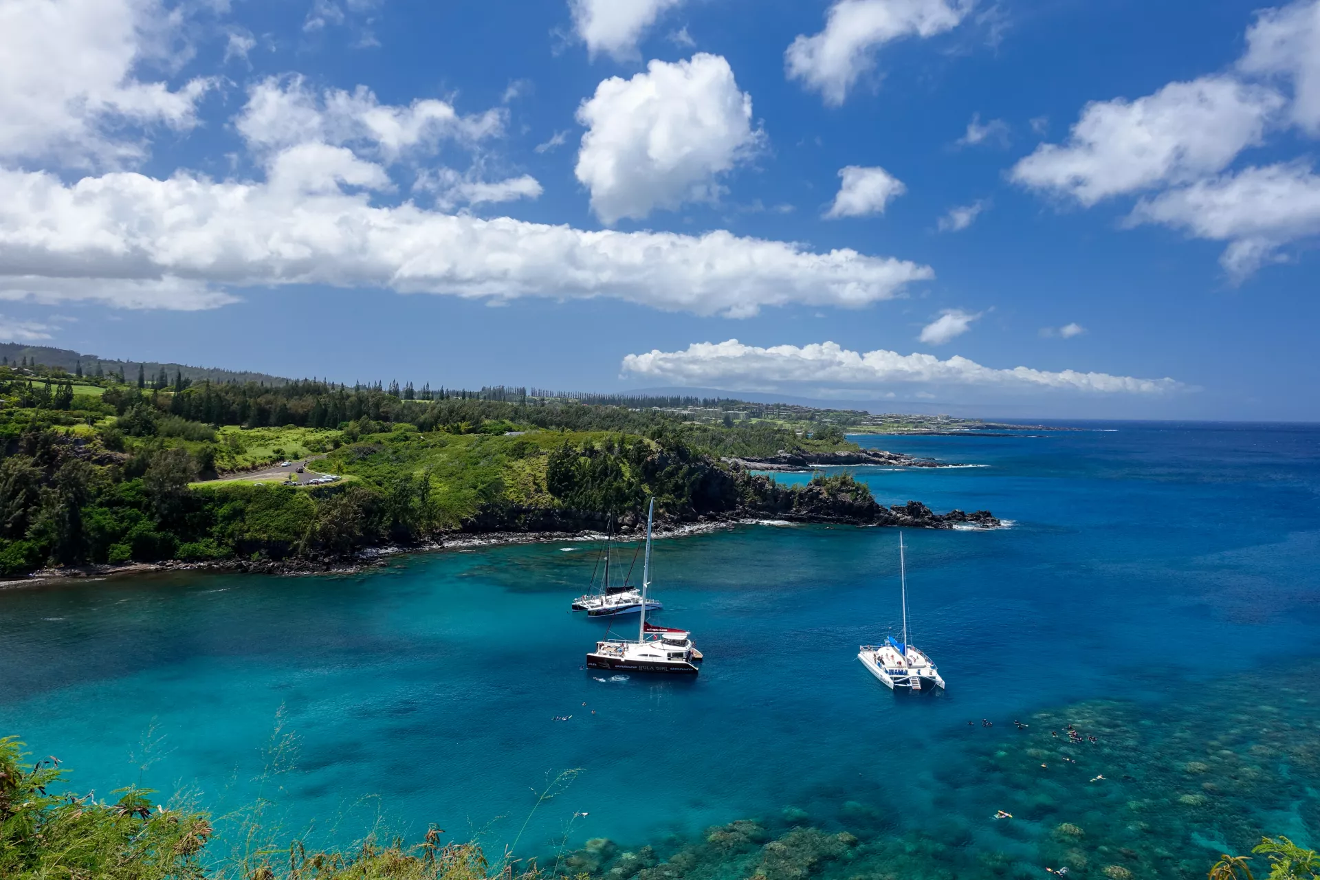 Honolua Bay Go Hawaii
